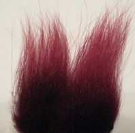 polar bear claret standart